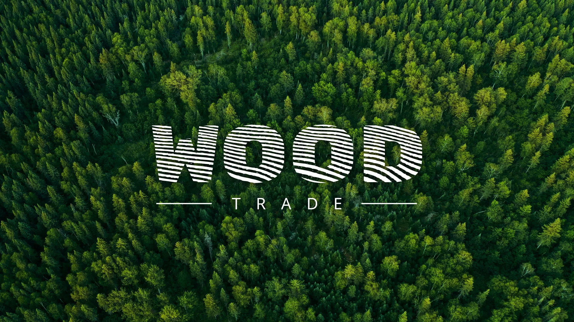 Разработка интернет-магазина компании «Wood Trade» в Кирове
